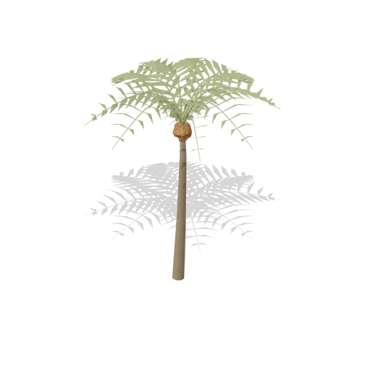 Young date palm (Desert Canyons and Oases)