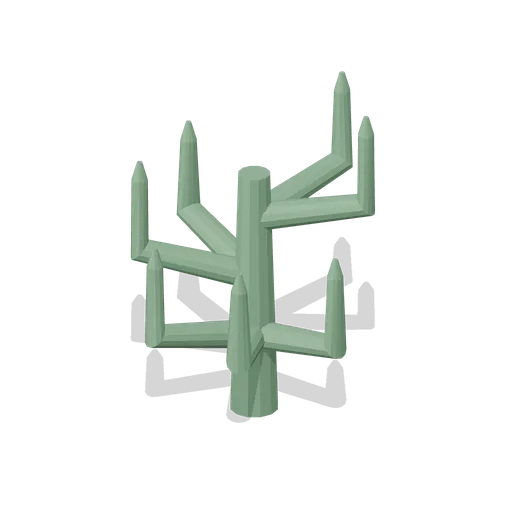 Cholla cactus (Desert Canyons and Oases)