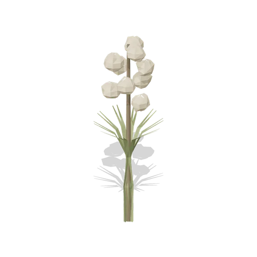 Yucca (Desert Canyons and Oases)
