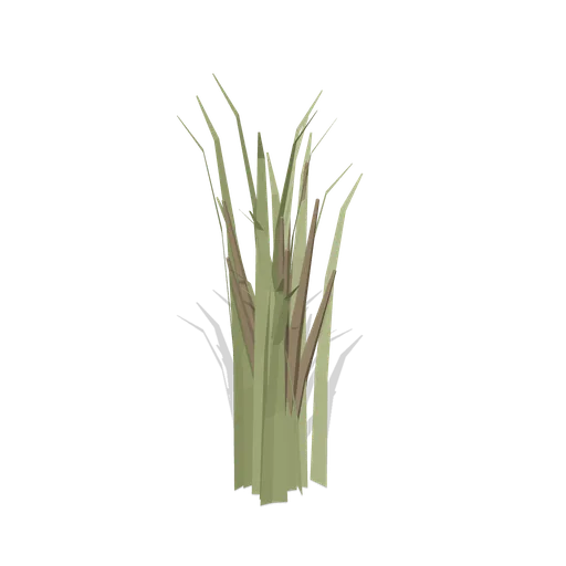 Desert broom (Desert Canyons and Oases)