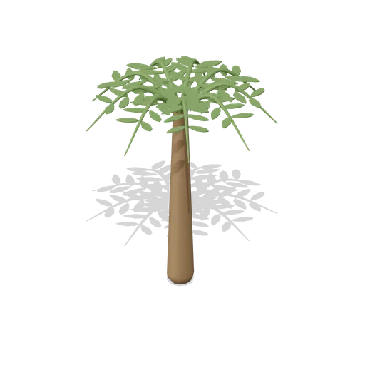 tree fern (Dinosaurs and Prehistoric Life)