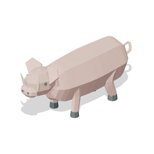 domestic boar (Farm Livestock and Barnyard)
