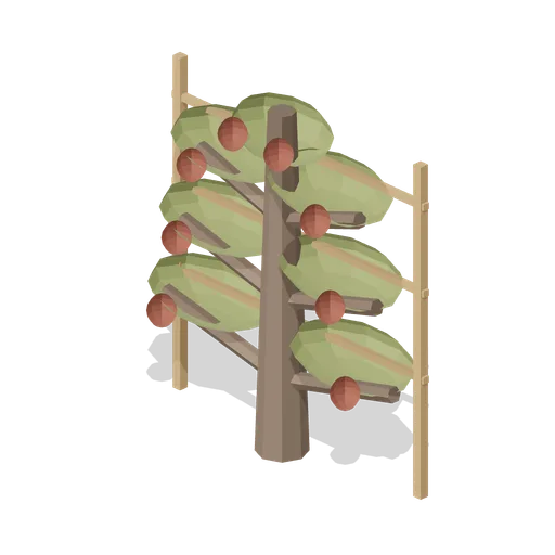 Harvest Hearth Fan Trained Orchard Tree