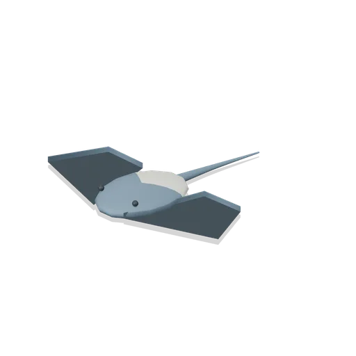 southern stingray (Open Ocean and Deep Sea Life)