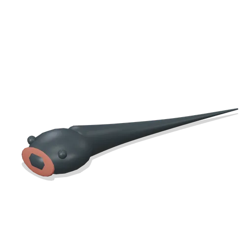 gulper eel (Open Ocean and Deep Sea Life)