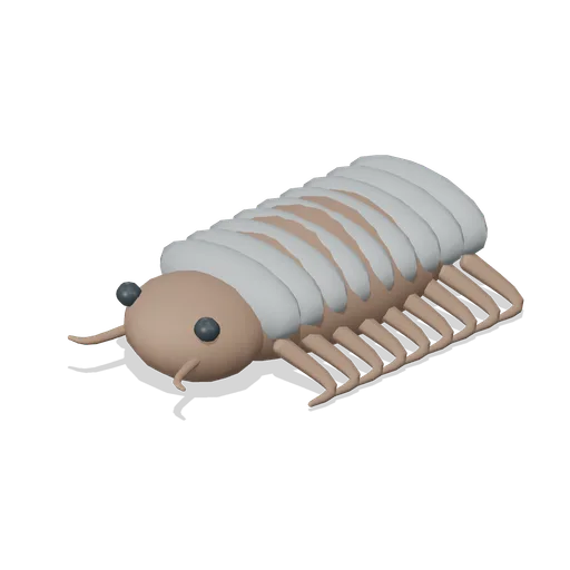 giant isopod (Open Ocean and Deep Sea Life)