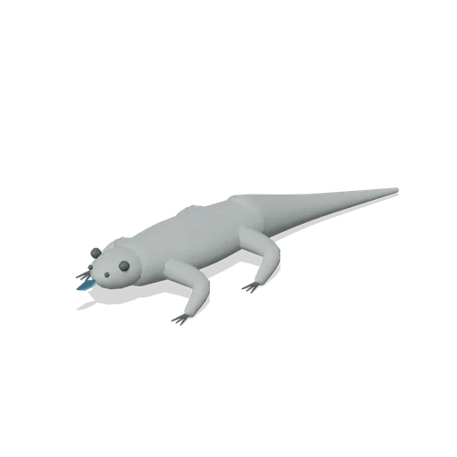 blue tongued skink (Outback and Australian Wildlife)