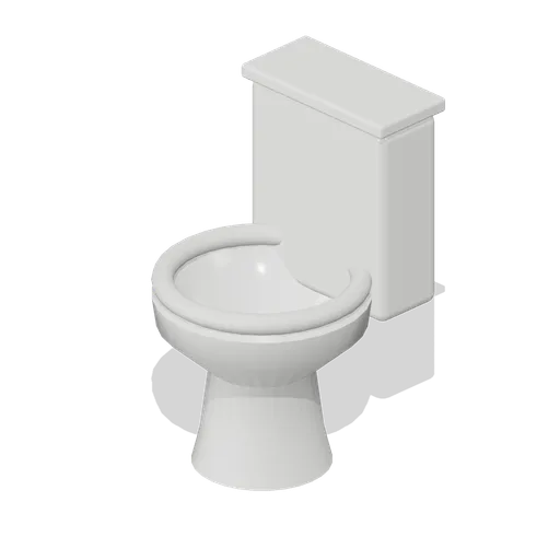 Toilet and cistern (Paranormal Investigation House)