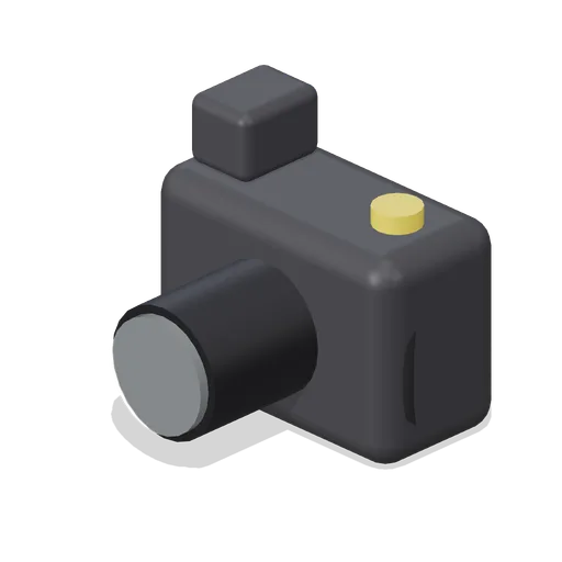 Photo Camera (Paranormal Investigation House)