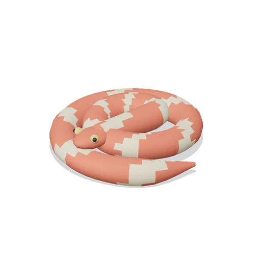 corn snake (Reptiles, Amphibians and Minibeasts)
