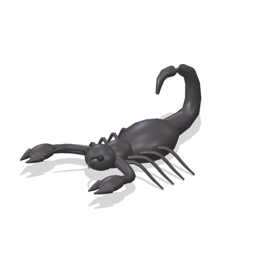emperor scorpion (Reptiles, Amphibians and Minibeasts)
