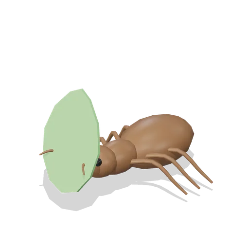 leaf cutter ant with leaf (Reptiles, Amphibians and Minibeasts)