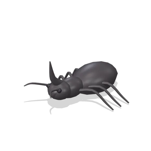 rhinoceros beetle (Reptiles, Amphibians and Minibeasts)