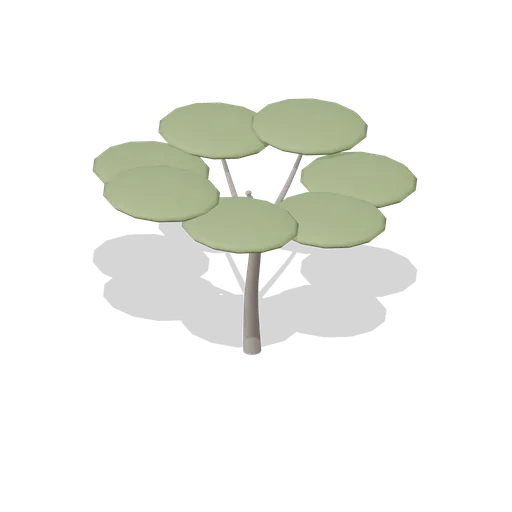 umbrella acacia (Savanna Wildlife)