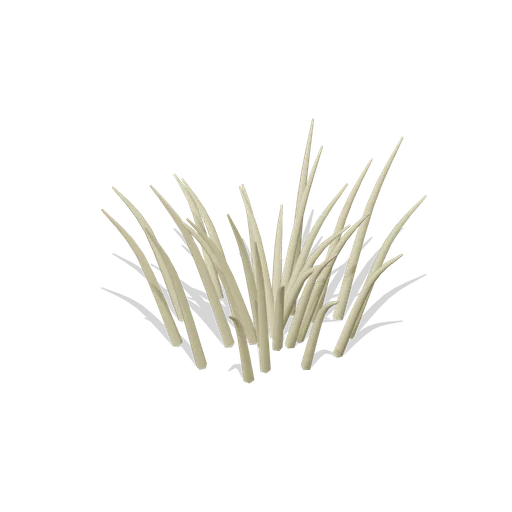 dry grass tussock (Savanna Wildlife)