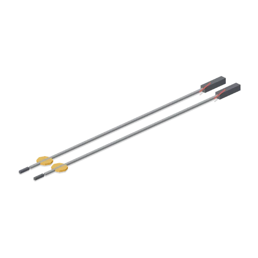 Ski Poles (Ski Resort and Snow Park)
