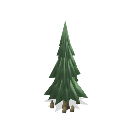 Young bald cypress (Swamp and Mangrove)