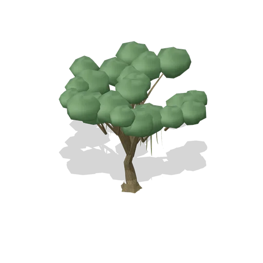 Moss-hung swamp oak (Swamp and Mangrove)