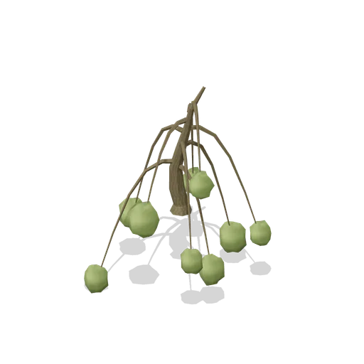 Leaning swamp willow (Swamp and Mangrove)