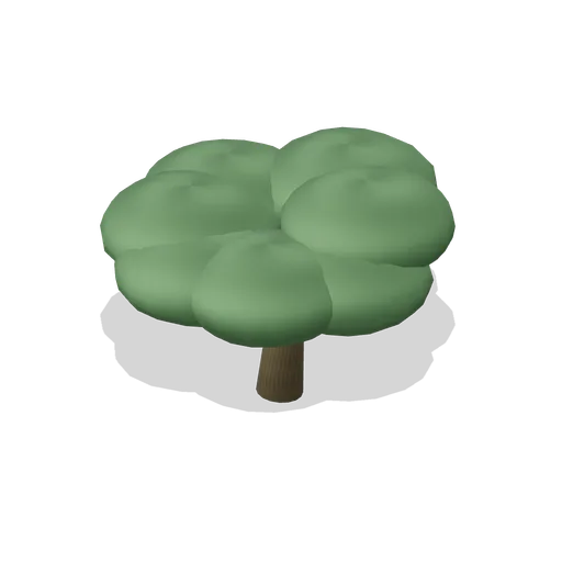 Swamp buttonwood (Swamp and Mangrove)