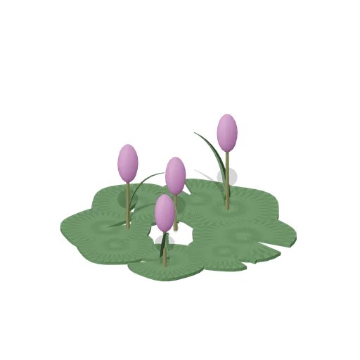 Water hyacinth mat (Swamp and Mangrove)