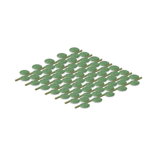 Water fern mat (Swamp and Mangrove)