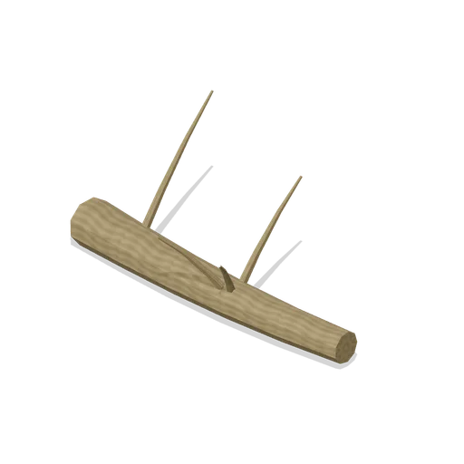Floating log study (Swamp and Mangrove)