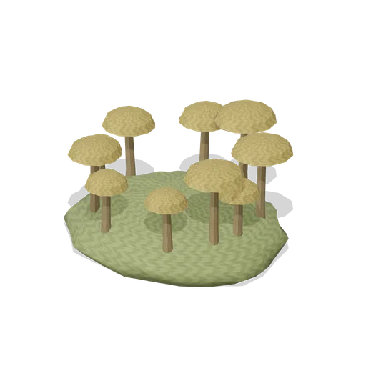 Mushroom ring on hummock (Swamp and Mangrove)