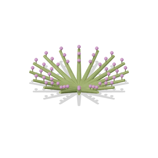 Sundew patch (Swamp and Mangrove)