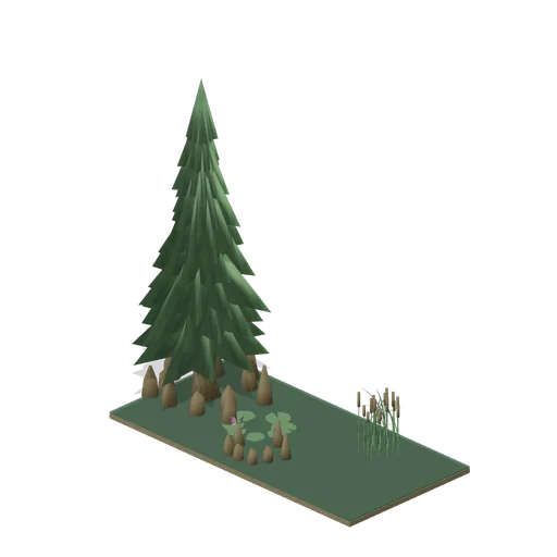 Cypress swamp (Swamp and Mangrove)