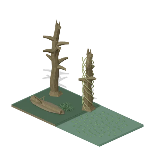 Drowned forest (Swamp and Mangrove)