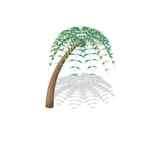 Leaning shore coconut palm (Tropical Island Ecology)