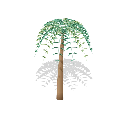 Tall coconut palm (Tropical Island Ecology)