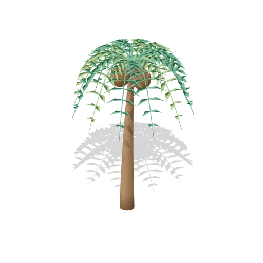 Young coconut palm (Tropical Island Ecology)