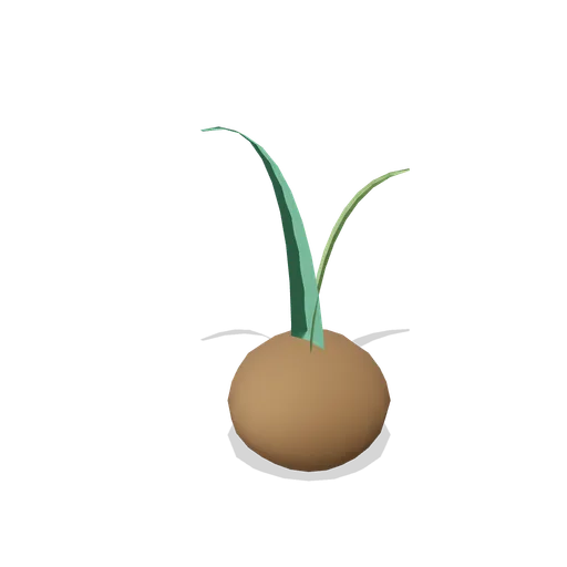 Palm seedling (Tropical Island Ecology)