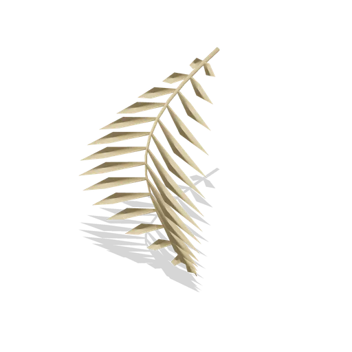 Shed palm frond (Tropical Island Ecology)
