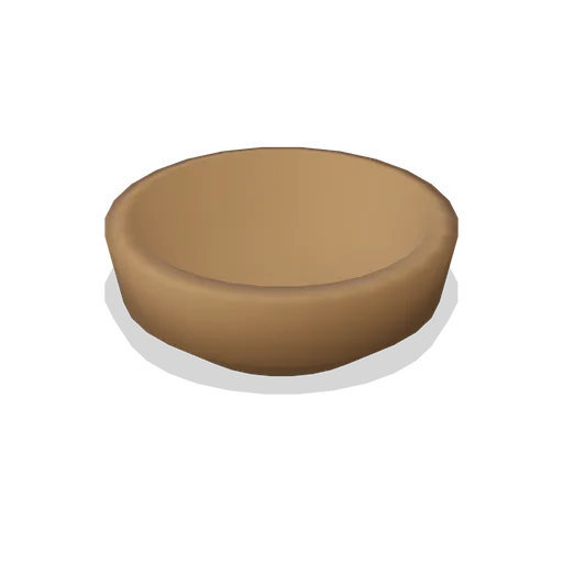 Split coconut shell (Tropical Island Ecology)