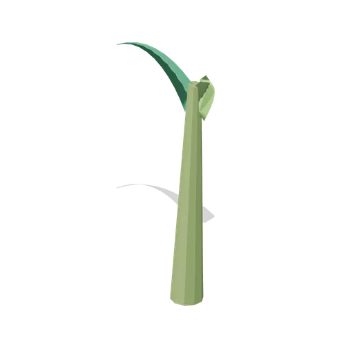 Rooted mangrove propagule (Tropical Island Ecology)