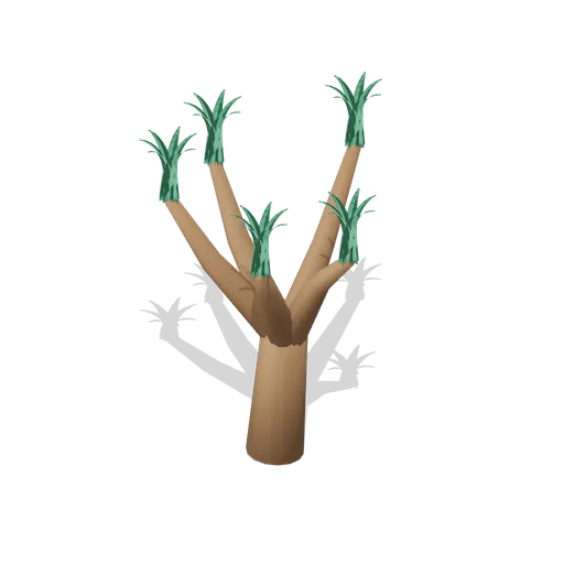 Forked frangipani (Tropical Island Ecology)