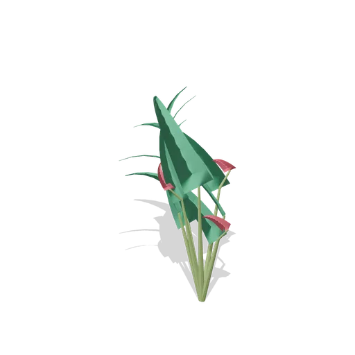 Heliconia clump (Tropical Island Ecology)