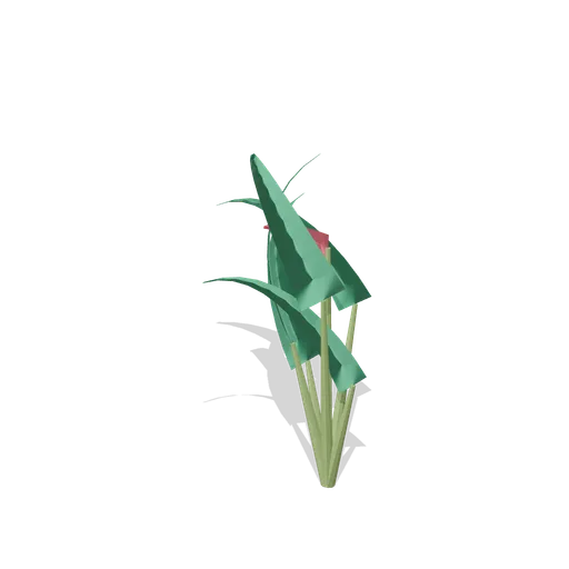 Bird of paradise (Tropical Island Ecology)
