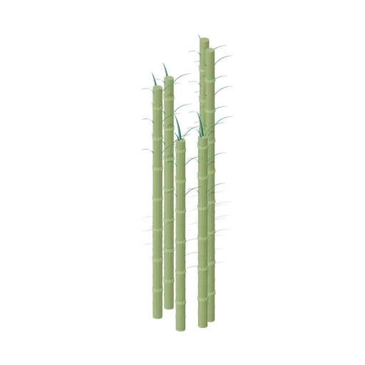 Thick bamboo stand (Tropical Island Ecology)