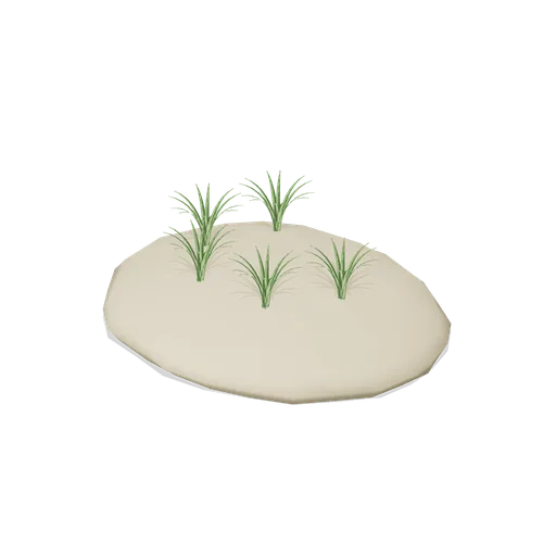 Beach dune with grass (Tropical Island Ecology)