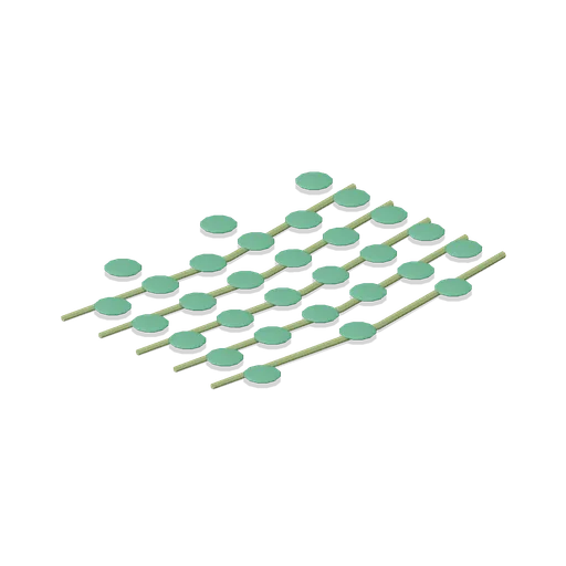 Sea purslane mat (Tropical Island Ecology)