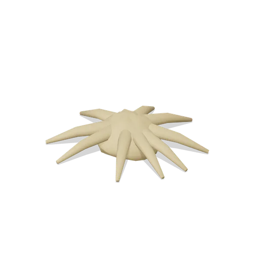 Driftwood root ball (Tropical Island Ecology)
