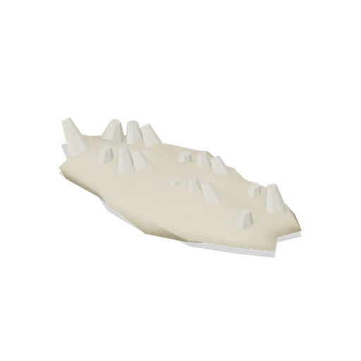 Coral rubble bank (Tropical Island Ecology)