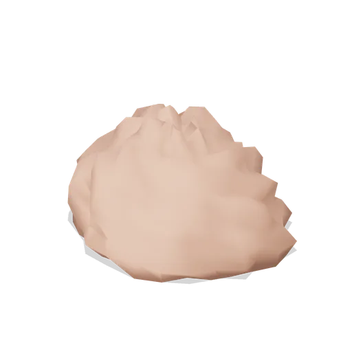 Intertidal coral boulder (Tropical Island Ecology)