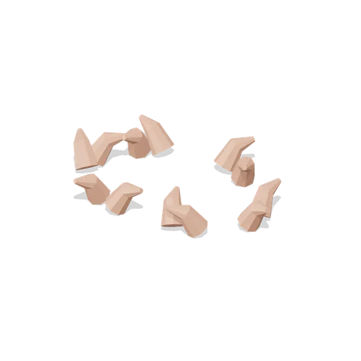 Intertidal coral rubble patch (Tropical Island Ecology)