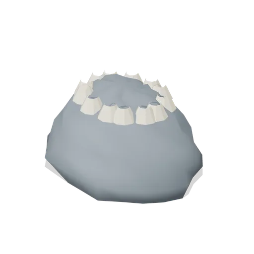 Barnacle-crusted rock (Tropical Island Ecology)