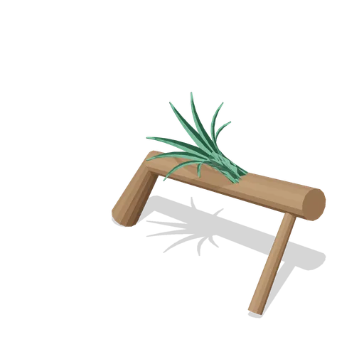Fallen-tree shelter (Tropical Island Ecology)